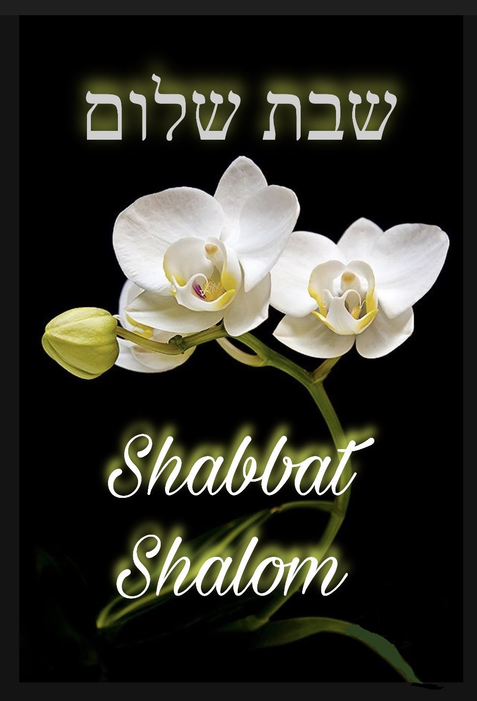 Shabbat Morning Interactive Service